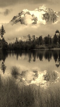 Szary + Sepia