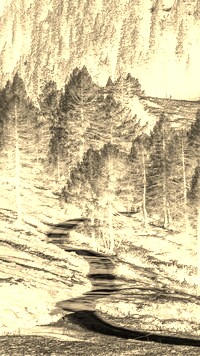 Sepia + Negatyw