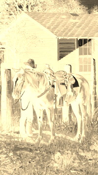 Sepia + Negatyw