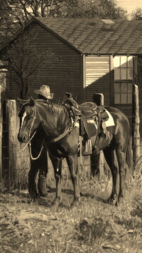 Sepia