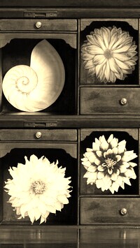 Szary + Sepia