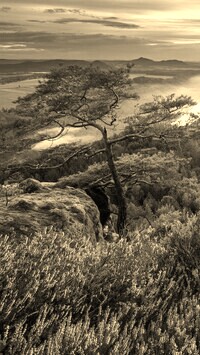 Sepia
