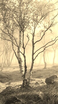 Sepia