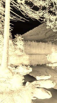 Sepia + Negatyw