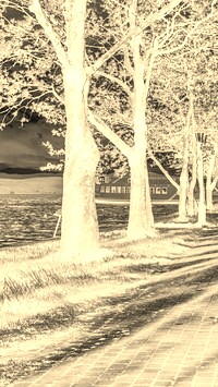 Sepia + Negatyw