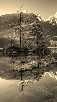Szary + Sepia