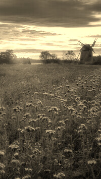 Szary + Sepia