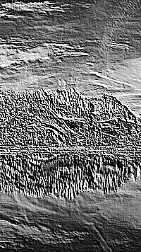 Skamielina