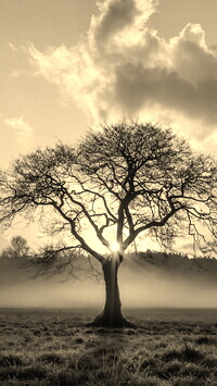 Sepia