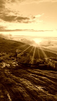 Sepia