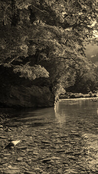 Szary + Sepia
