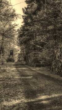 Szary + Sepia