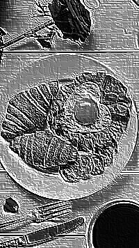 Skamielina
