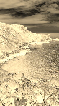 Sepia + Negatyw
