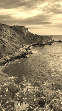 Sepia