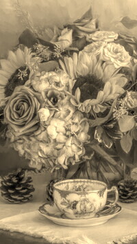 Szary + Sepia