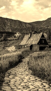 Sepia