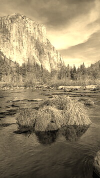 Sepia