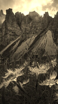Szary + Sepia