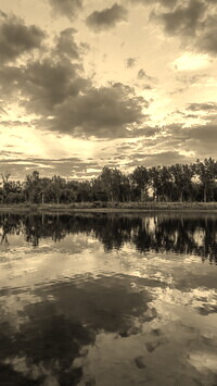 Sepia