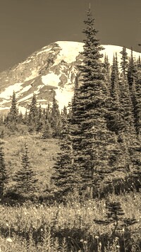 Sepia