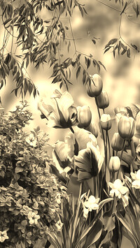 Sepia