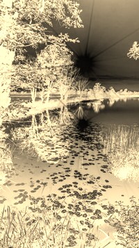 Sepia + Negatyw