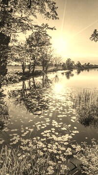 Szary + Sepia