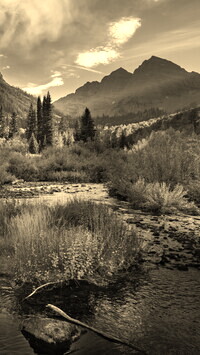 Sepia
