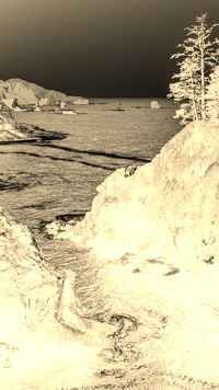 Sepia + Negatyw