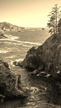 Szary + Sepia
