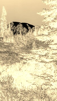 Sepia + Negatyw
