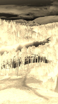 Sepia + Negatyw
