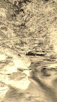 Sepia + Negatyw