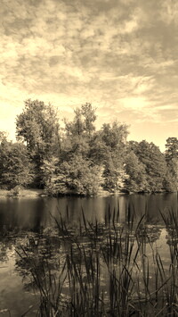 Szary + Sepia