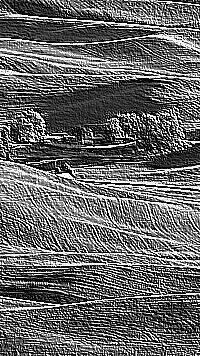 Skamielina