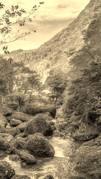 Szary + Sepia