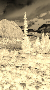 Sepia + Negatyw