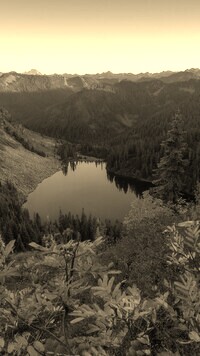 Sepia