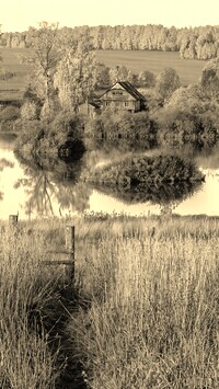 Szary + Sepia
