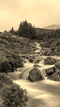 Sepia