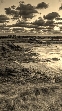Szary + Sepia