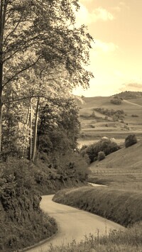 Szary + Sepia