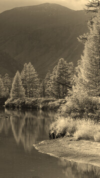 Sepia
