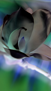 Negatyw