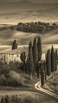 Szary + Sepia