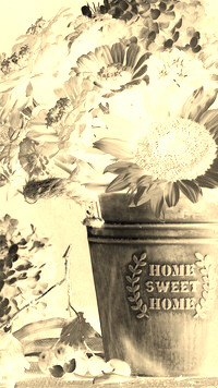 Sepia + Negatyw