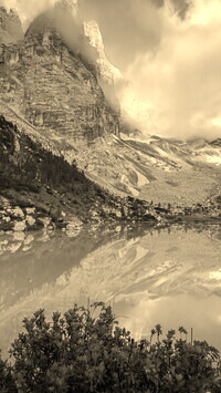 Szary + Sepia