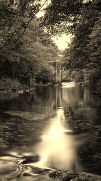 Sepia