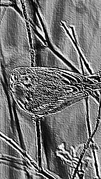 Skamielina